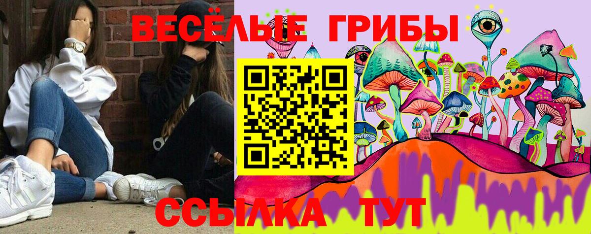 Псилоцибиновые грибы Magic Shrooms  купить  цена  Красноярск  Вход с VPN  Галлюциногенные грибы MAGIC MUSHROOMS 